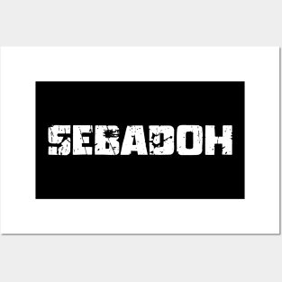 SEBADOH Posters and Art